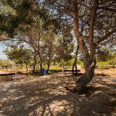 Apartament "Parque Mar" La Mata  Extérieur photo