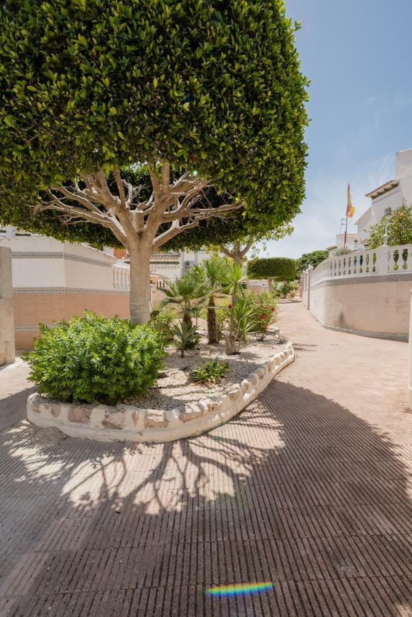 Apartament "Parque Mar" La Mata  Extérieur photo